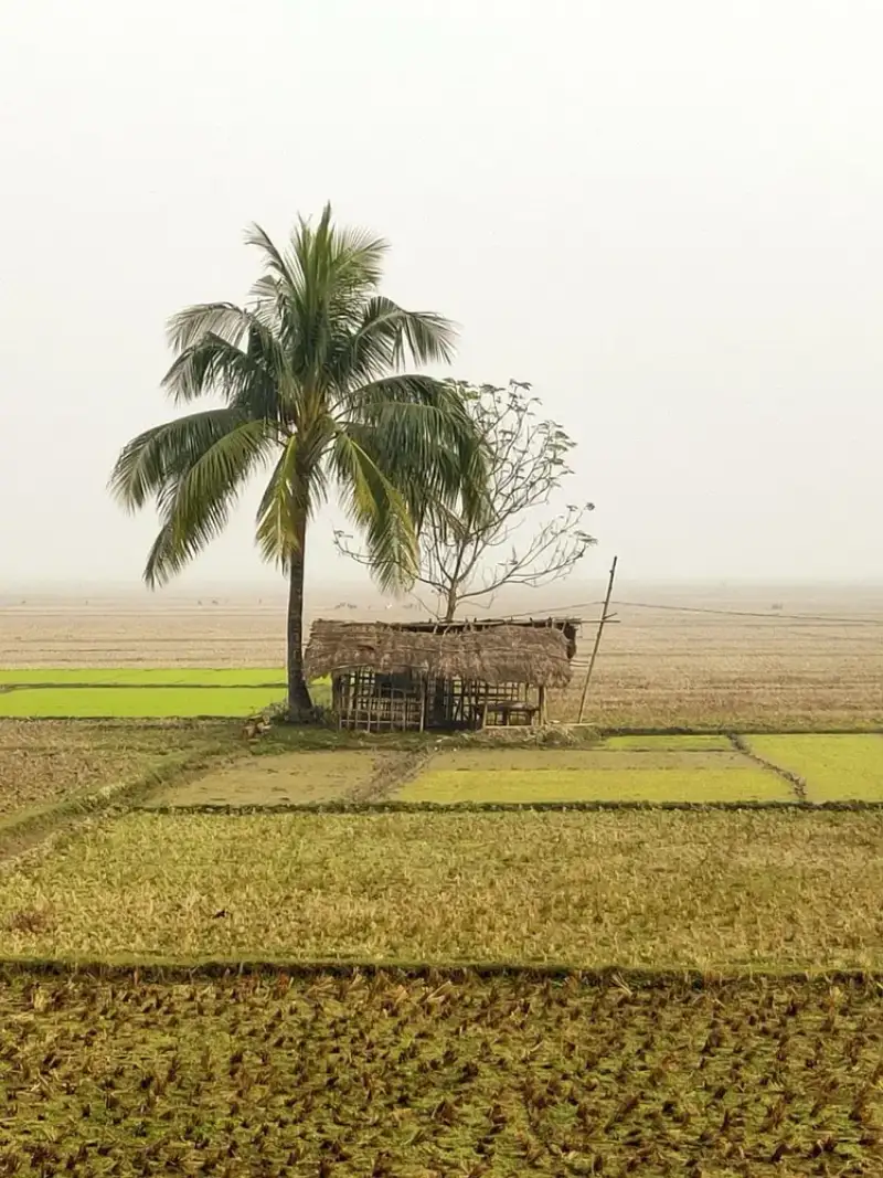 Naogaon Bangladesh eSIM coverage for travelers with HelloRoam mobile data plans and fast internet