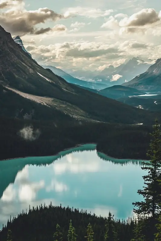 Canada — mobile connectivity coverage