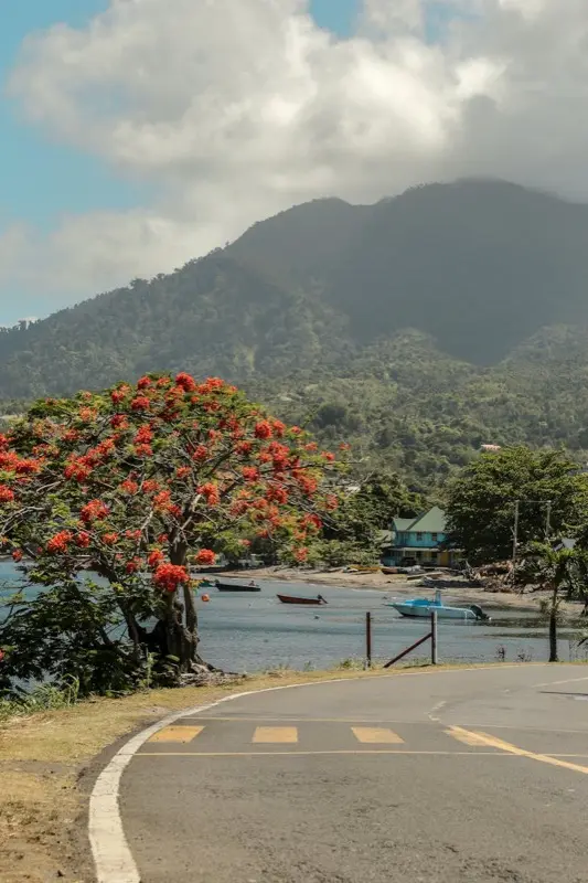 Dominica — mobile connectivity coverage