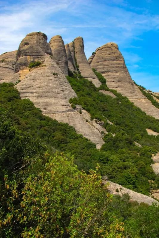 Spain — mobile connectivity coverage