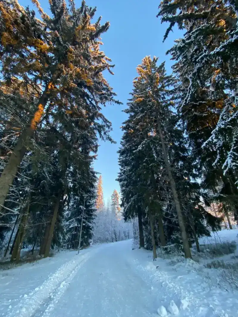 Espoo in Finland with HelloRoam eSIM data plans for international travel coverage