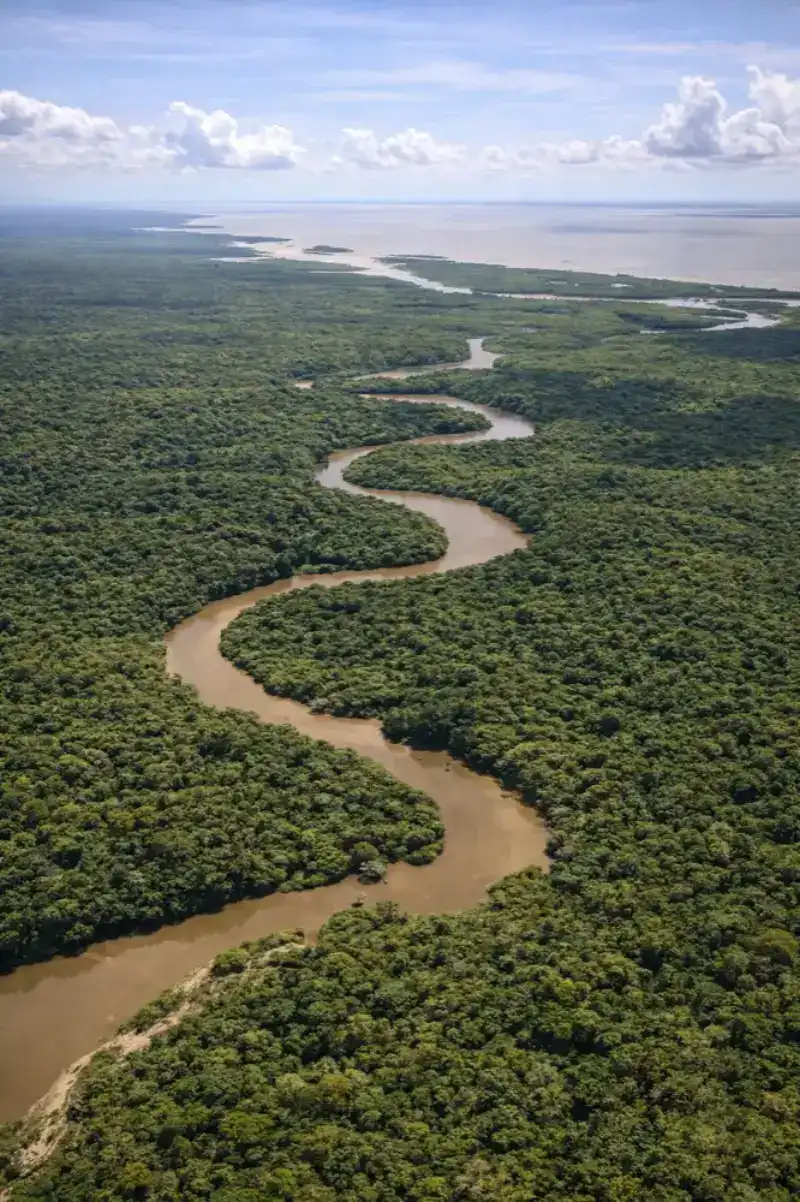 French Guiana eSIM card data plans for international travel