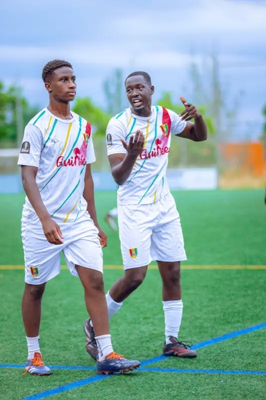 Guinea — mobile connectivity coverage