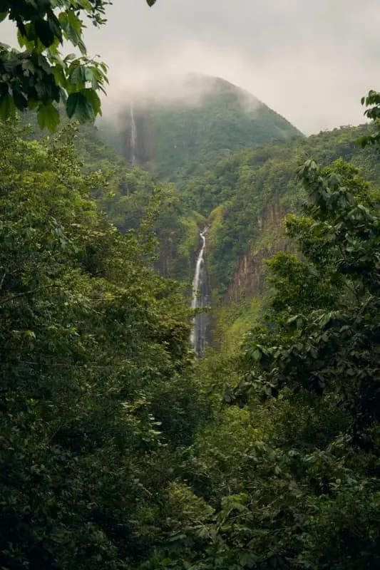 Guadeloupe — mobile connectivity coverage