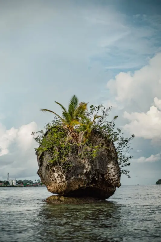 Guinea-Bissau — mobile connectivity coverage