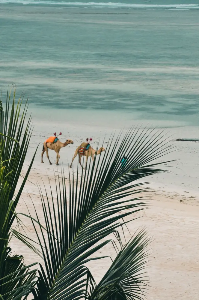 Mobile data in Mombasa Kenya with HelloRoam eSIM plans for international travelers