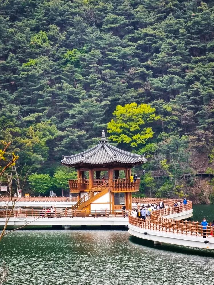 Daegu in South Korea with HelloRoam eSIM data plans for international travel coverage