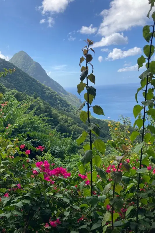 St. Lucia — mobile connectivity coverage