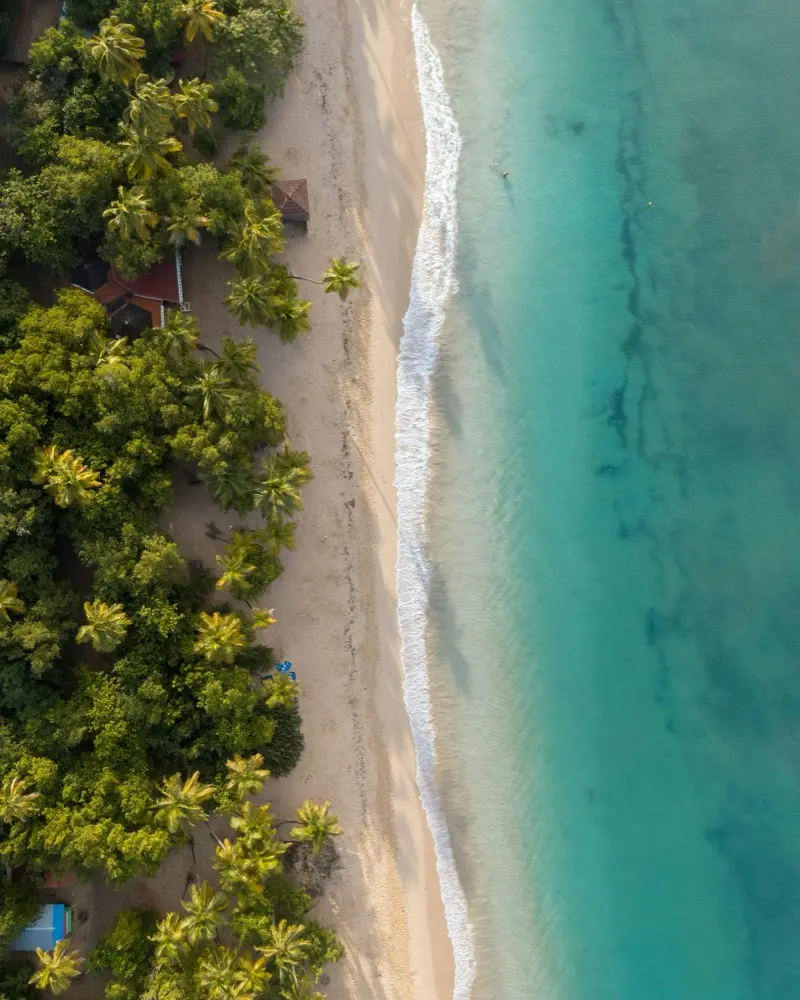 Martinique eSIM card data plans for international travel