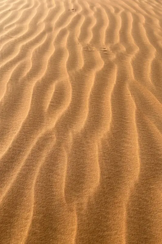 Niger — mobile connectivity coverage