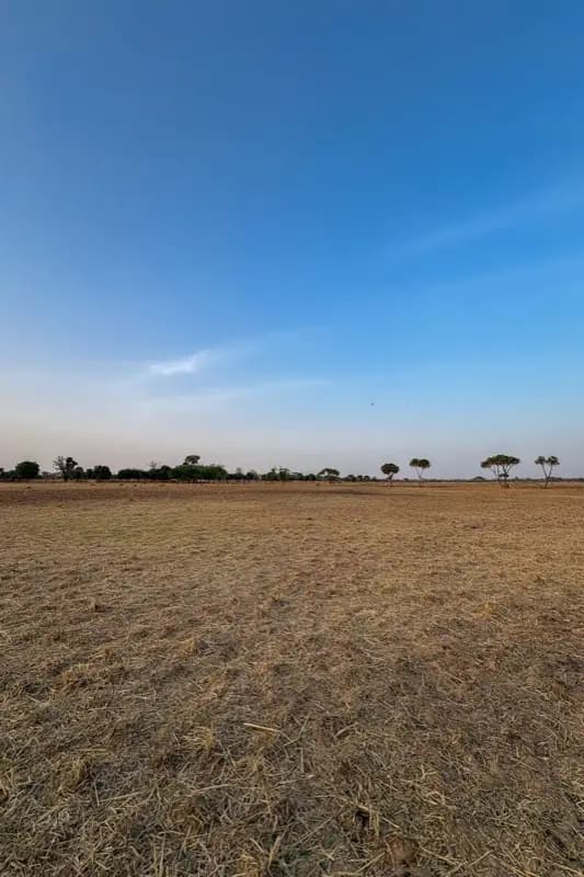 Nigeria — mobile connectivity coverage