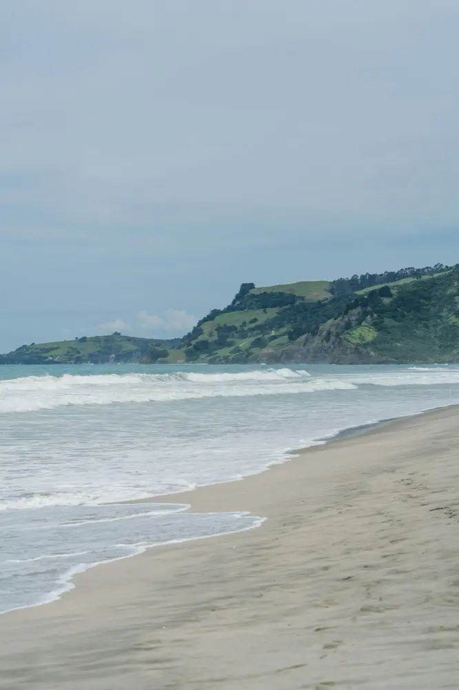 North Shore New Zealand mobile data coverage for travelers provided by HelloRoam eSIM service