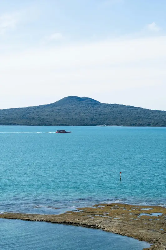 NZ — mobile connectivity coverage
