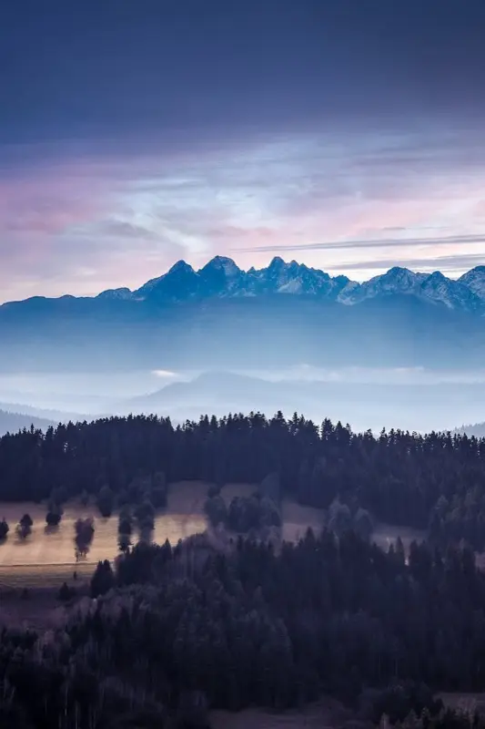 Poland — mobile connectivity coverage