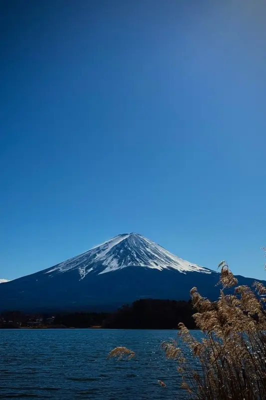 Asia — best time to visit