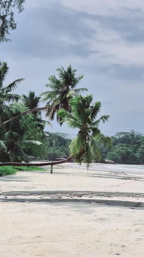 eSIM Praslin Seychelles - Anse Lazio white sand beach with turquoise water and granite rocks on Praslin island