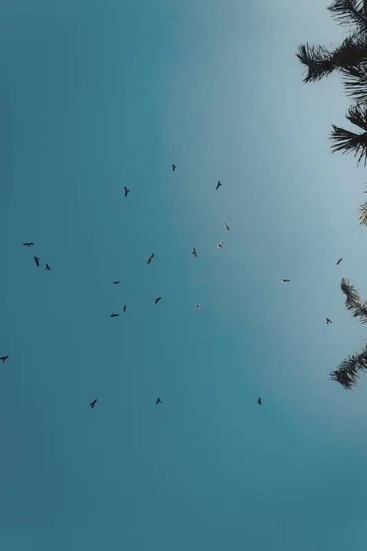 Sudan — mobile connectivity coverage