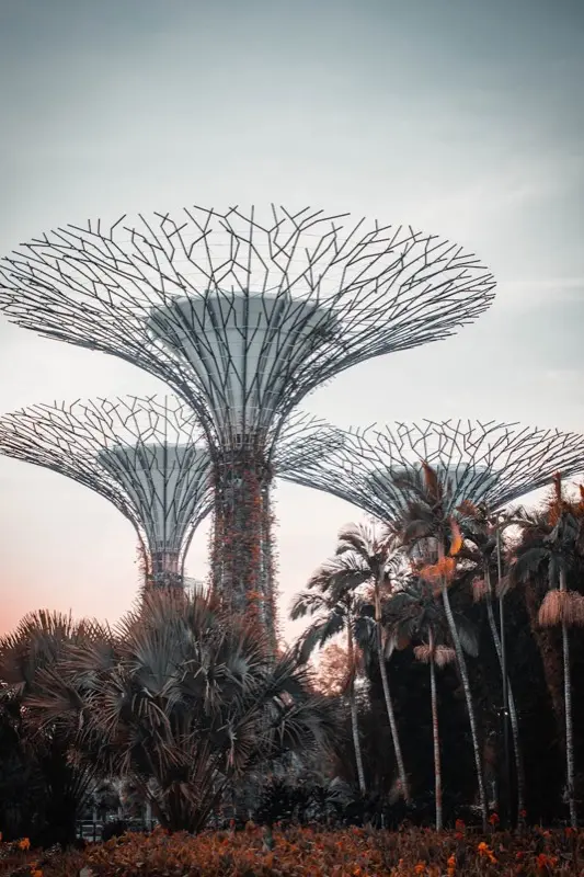 Gardens By The Bay Supertrees in Singapore Singapore with HelloRoam eSIM connectivity