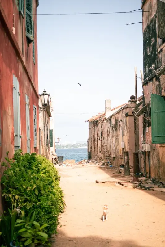 Senegal — best time to visit
