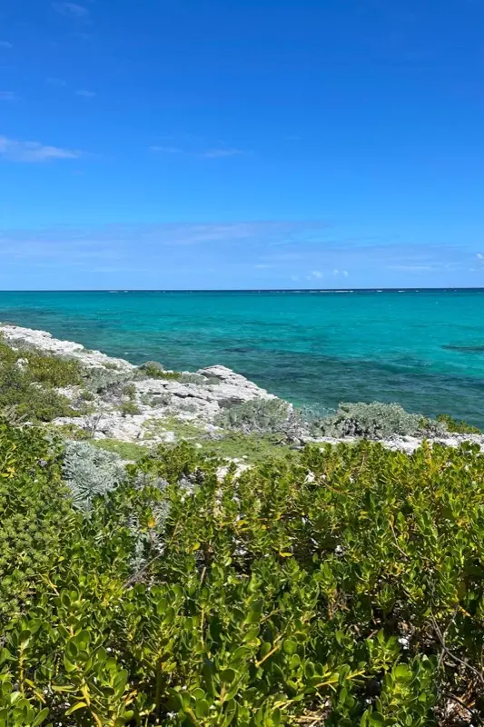 Turks & Caicos Islands — mobile connectivity coverage