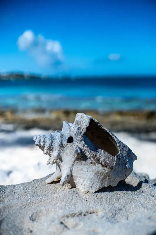 Turks & Caicos Islands — best time to visit