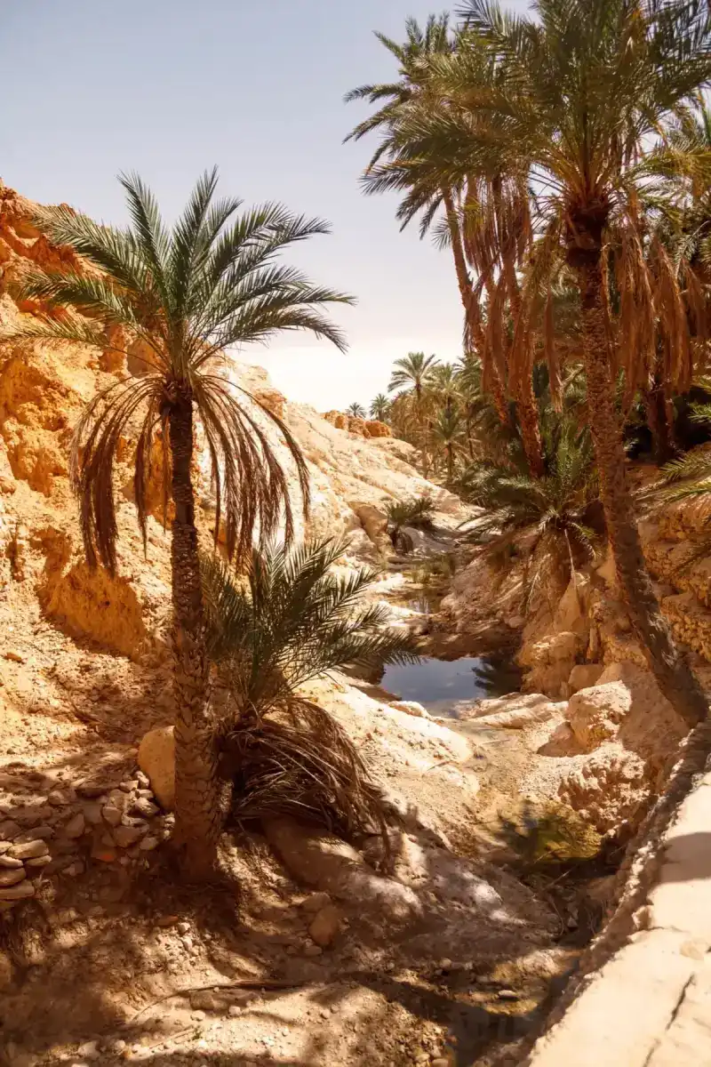 Tunisia eSIM card data plans for international travel
