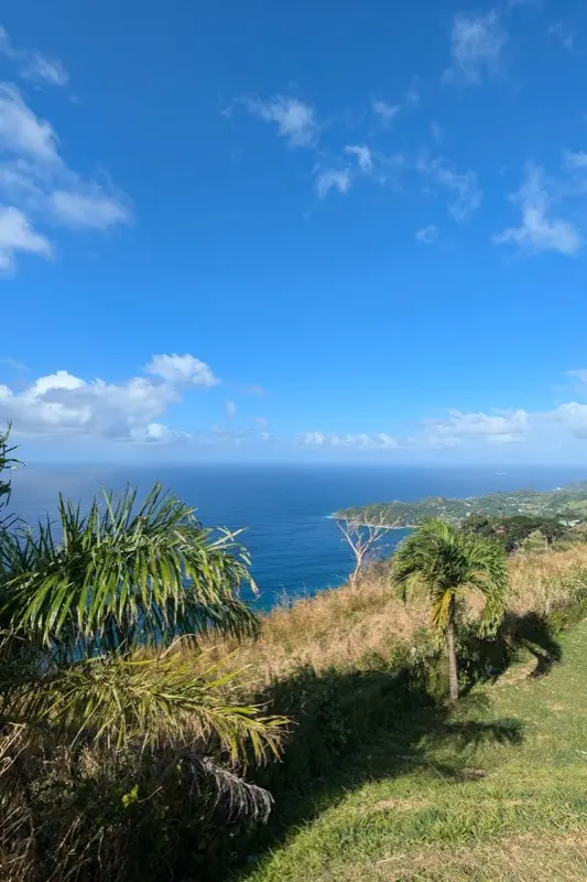 Trinidad & Tobago — mobile connectivity coverage