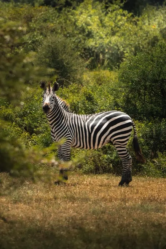 Tanzania — best time to visit