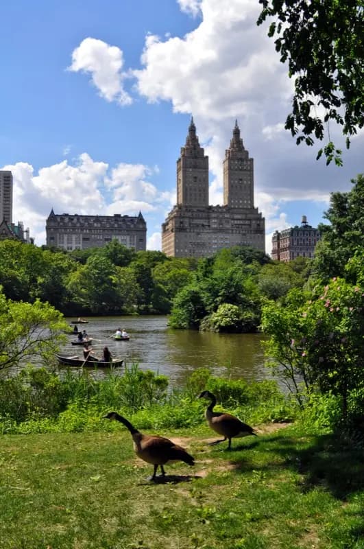 Central Park in New York City United States with HelloRoam eSIM data plan connectivity