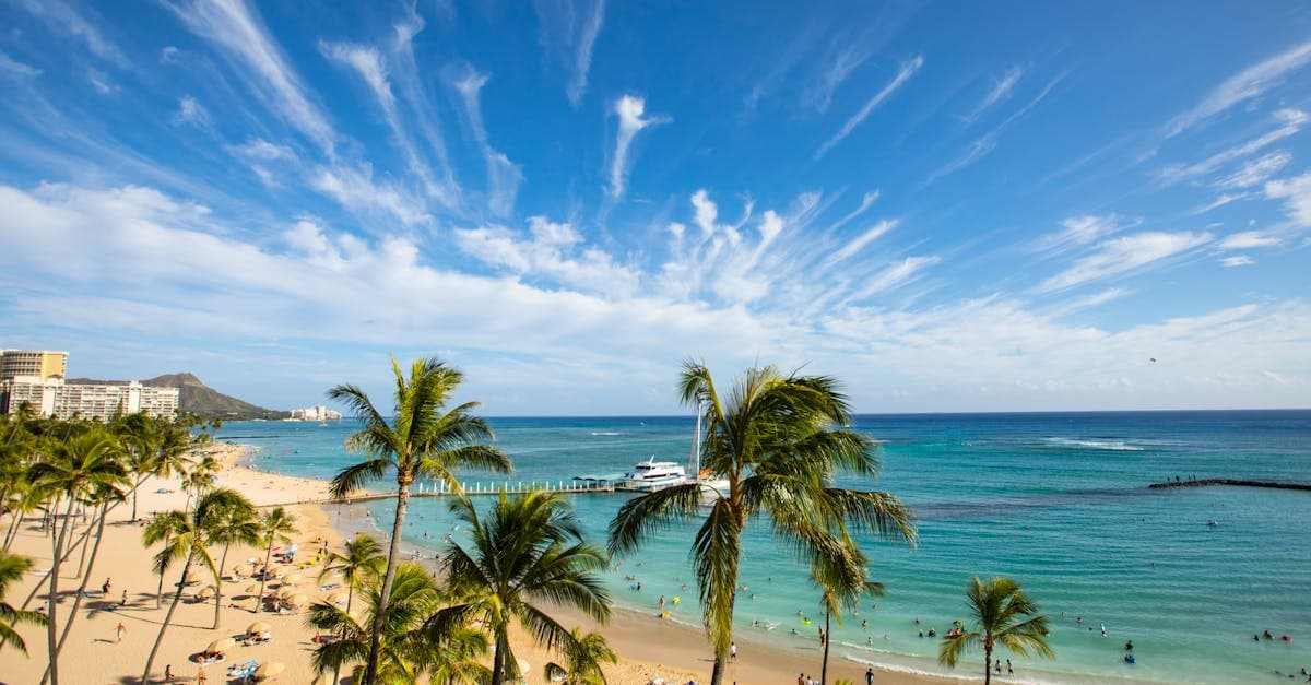 ハワイの天気と気候を完全解説|月別気温・服装・ベストシーズン2026