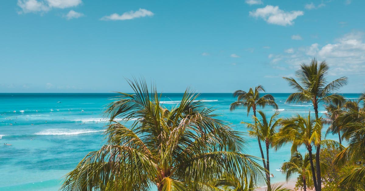 ハワイの一年を通じた天気環境を理解するのに役立つ、椰子の木とビーチの美しい航空風景。