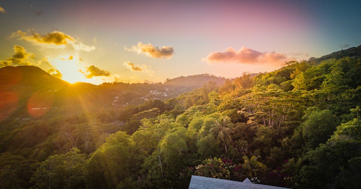 شروق الشمس الذهبي على شاطئ أنس رويال في سيشيل، يكشف جمال الموسم المنخفض الذي يستحق الزيارة