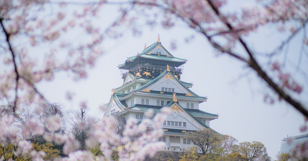 Osaka Castle framed by cherry blossoms, the best time to visit Japan for sakura season
