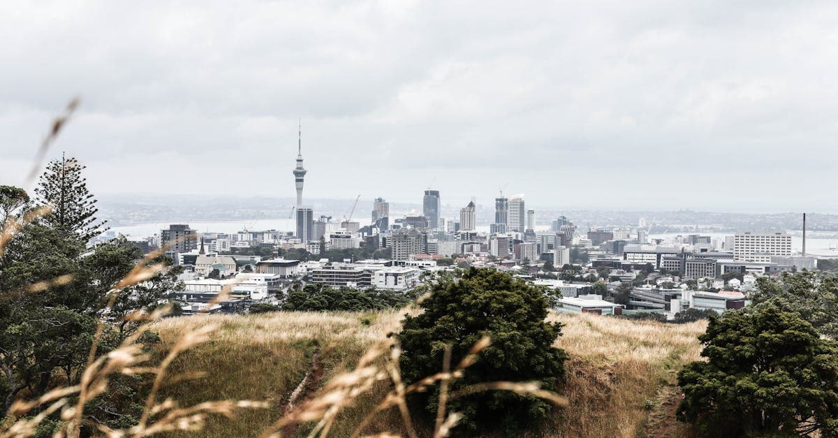 Auckland's skyline viewed from Mount Eden volcano, the gateway city for travellers on budget flights to New Zealand