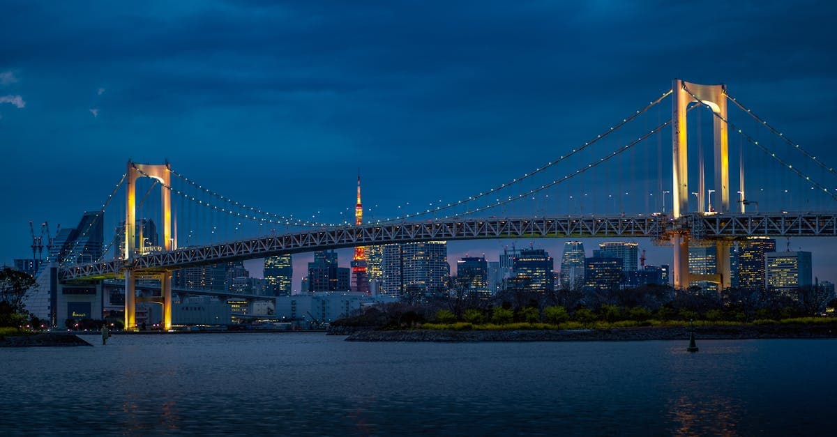 Rainbow Bridge illuminated over Tokyo Bay at night, best explored with a local travel eSIM