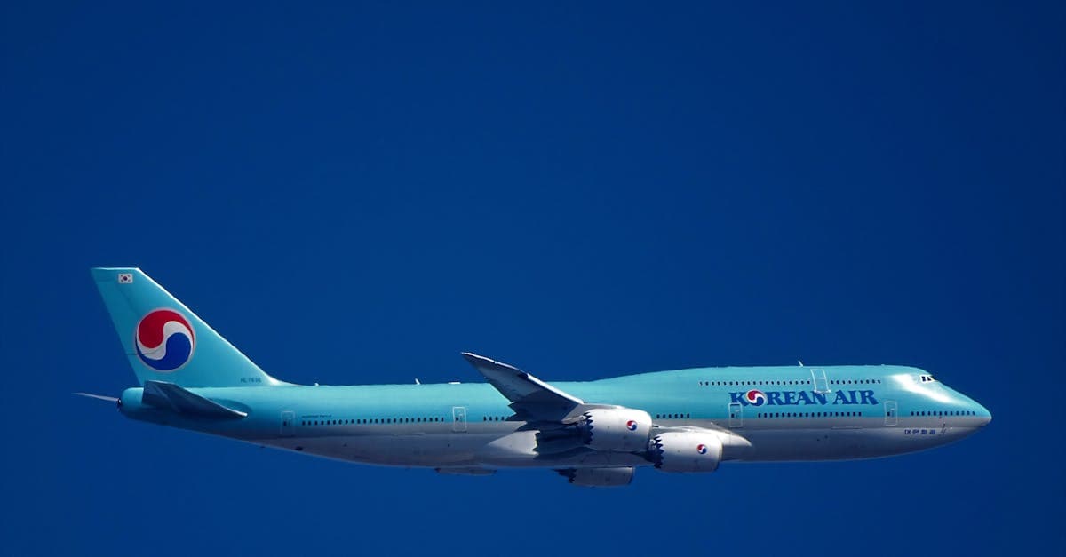 맑은 하늘을 나는 대한항공 보잉 747, 한국 도착 후 공항에서 포켓와이파이를 바로 수령하는 방법