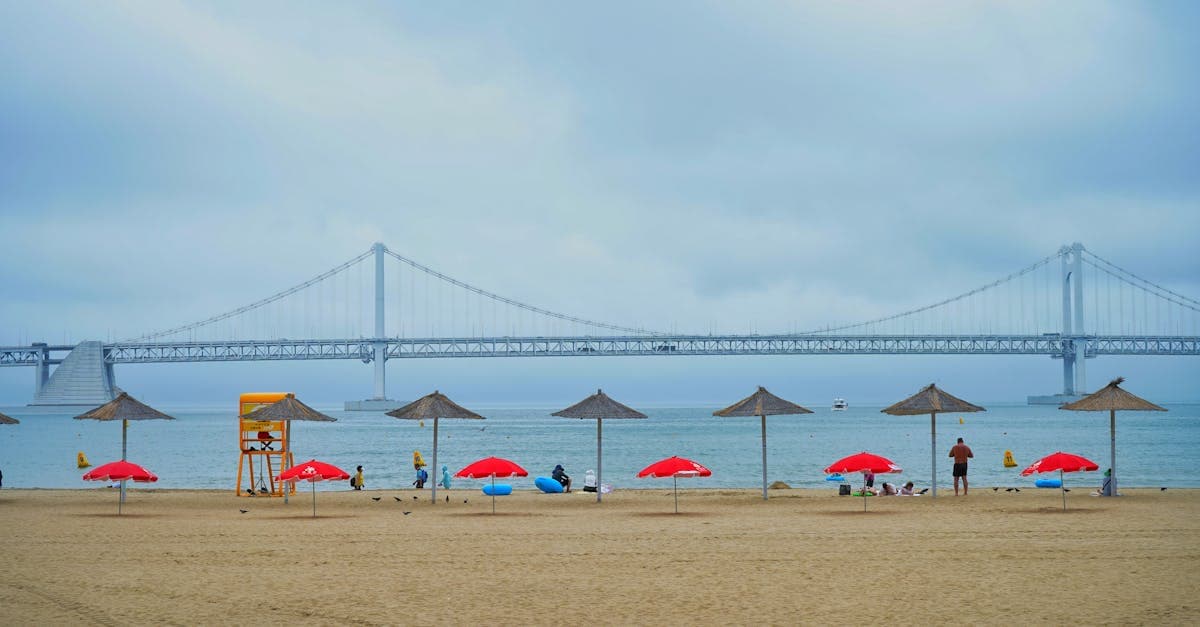 부산 해변에서 즐길 수 있는 광안대교 야경과 아름다운 해수욕장 풍경