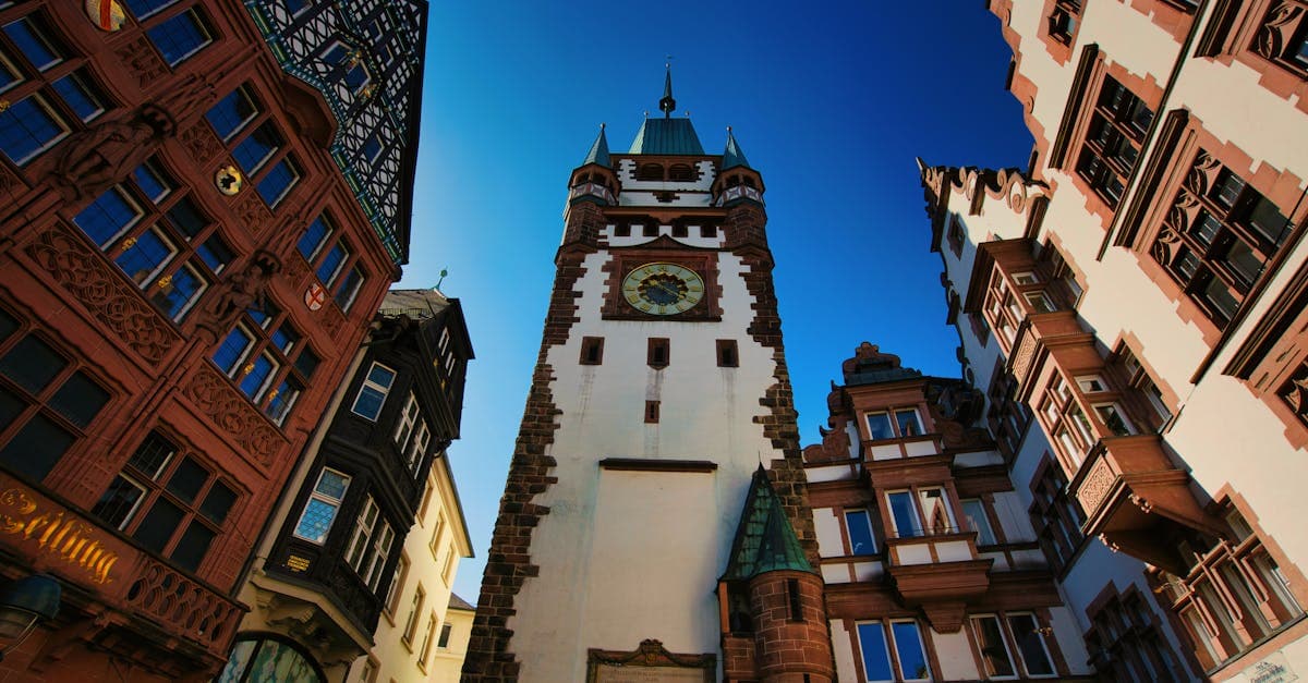 Im Ausland arbeiten: Der komplette Ratgeber für Deutsche 2025