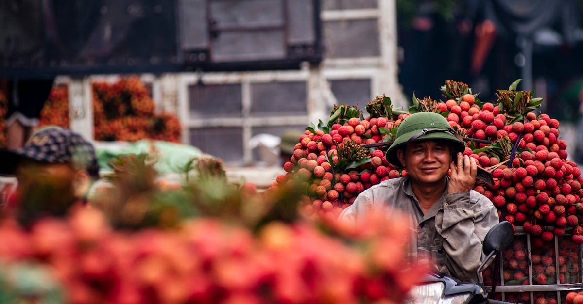 Agriculteur de Bac Giang avec sa récolte de litchis frais, conseils pour manger sans risques au Vietnam