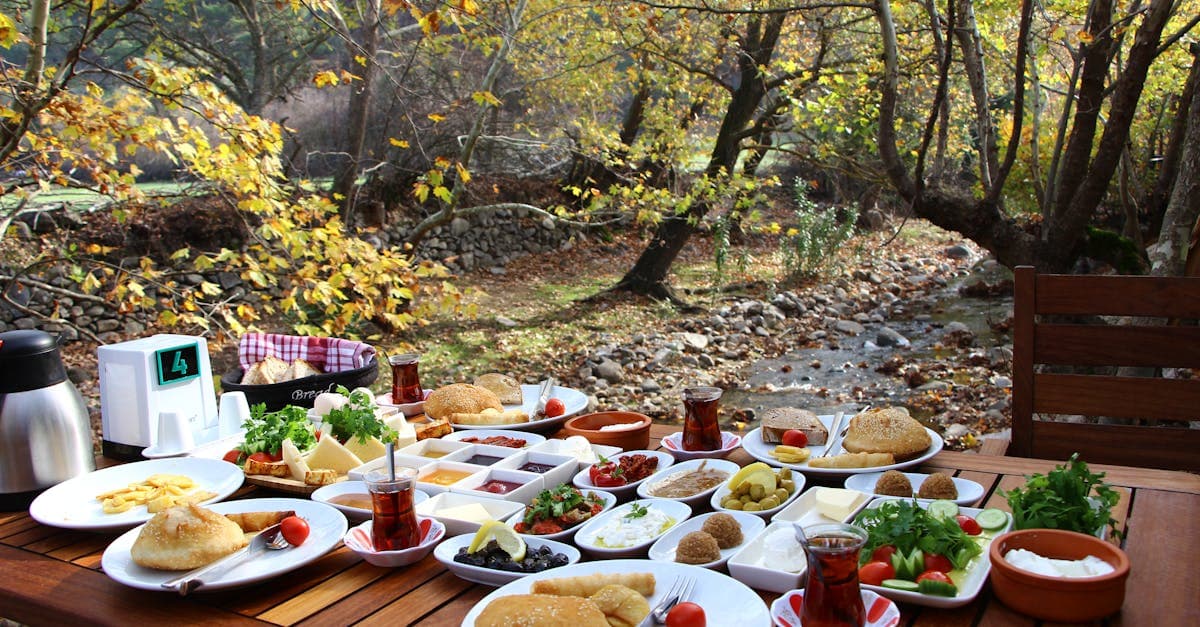 Doğal ortamda sergilenen sağlıklı Asya yemekleri modellemesi Bergama'daki Türk kahvaltısı düzeni