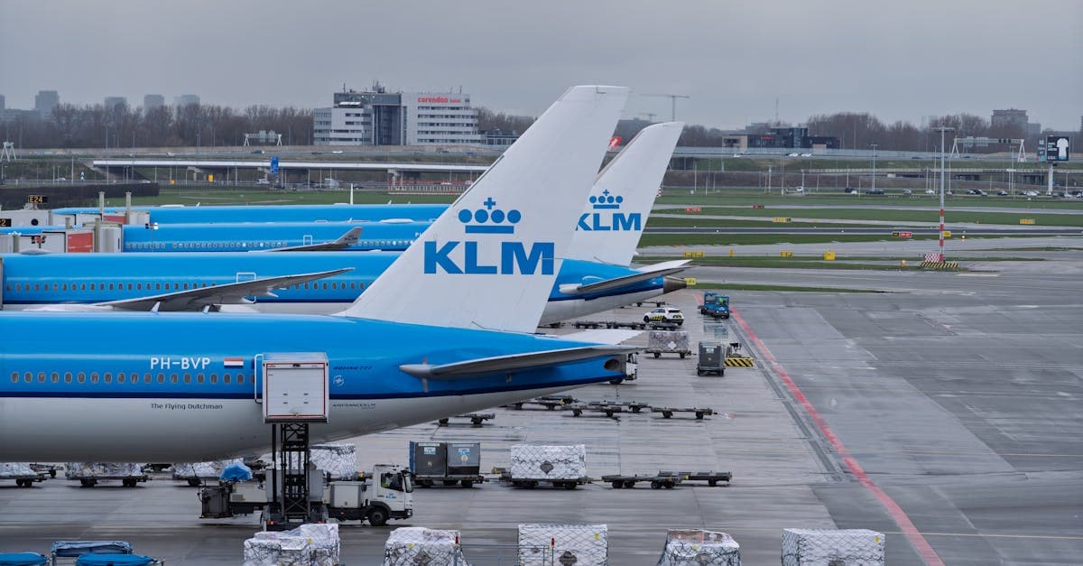 Row of KLM airplanes parked at an airport tarmac with cargo carts, under an overcast sky.