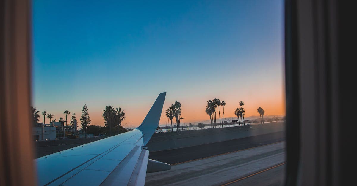Airplane wing above palm trees at sunset timing your booking for cheap flights from Singapore