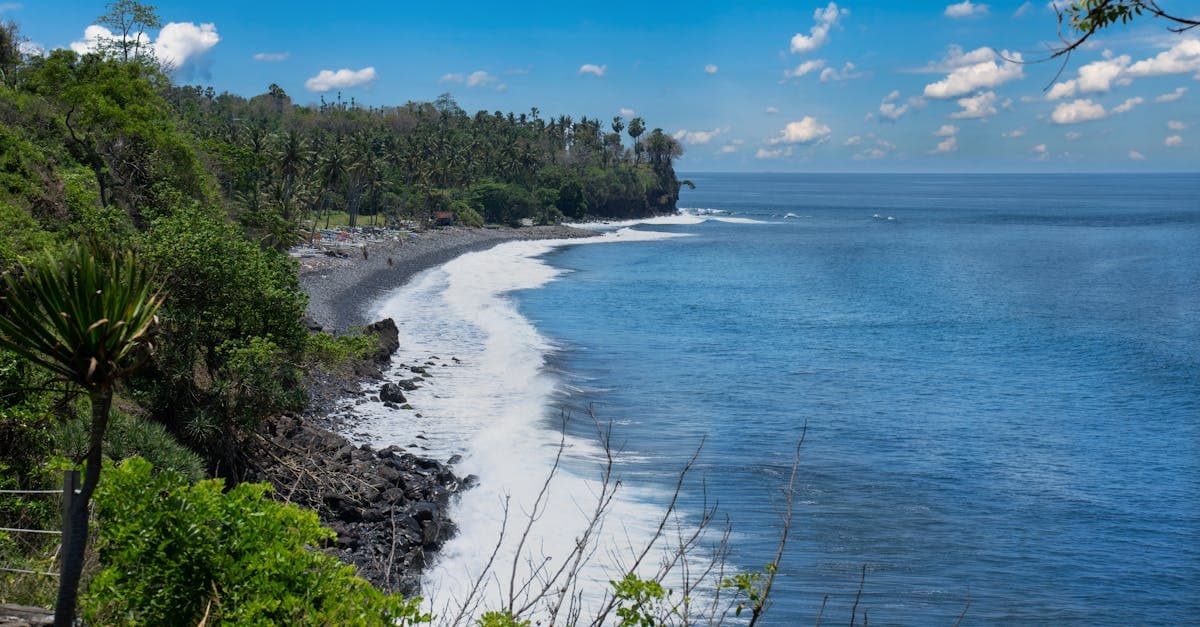 Costa rocosa de Bali con vegetación tropical y océano azul, esencial para viajar a Bali bien informado