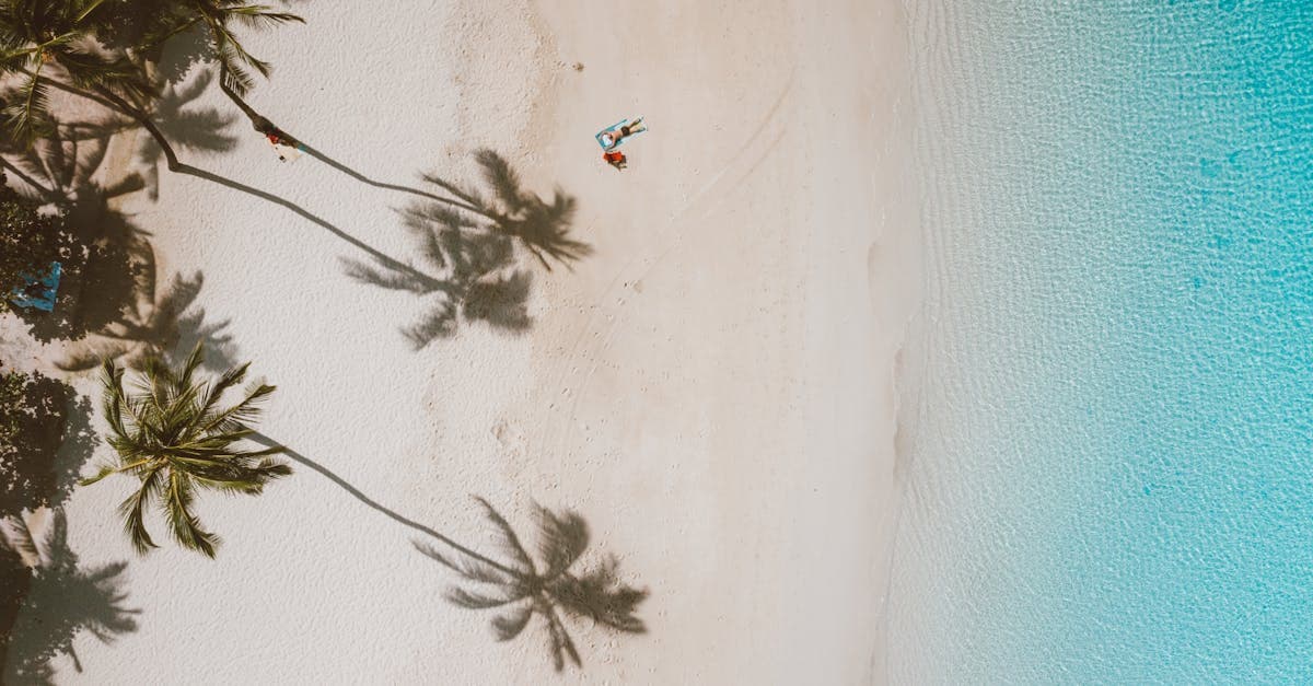 Best Time to Visit Rarotonga From New Zealand: Month-by-Month Guide 2026 - eSIM travel guide by HelloRoam