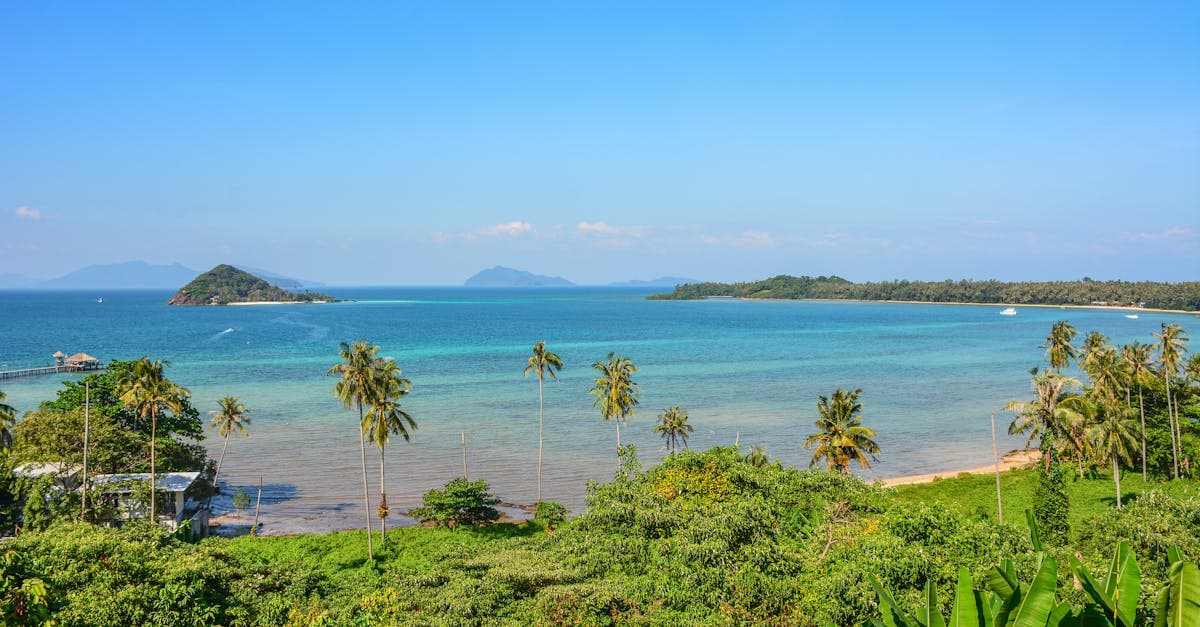 Clear blue waters and palm trees at Ko Mak showcasing thailand weather at its most inviting