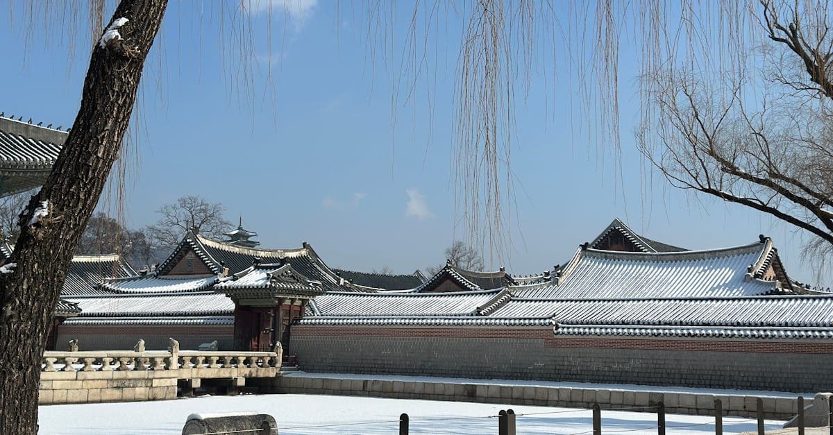 Gyeongbokgung Palace blanketed in snow on a clear winter day, showing korea weather at its coldest