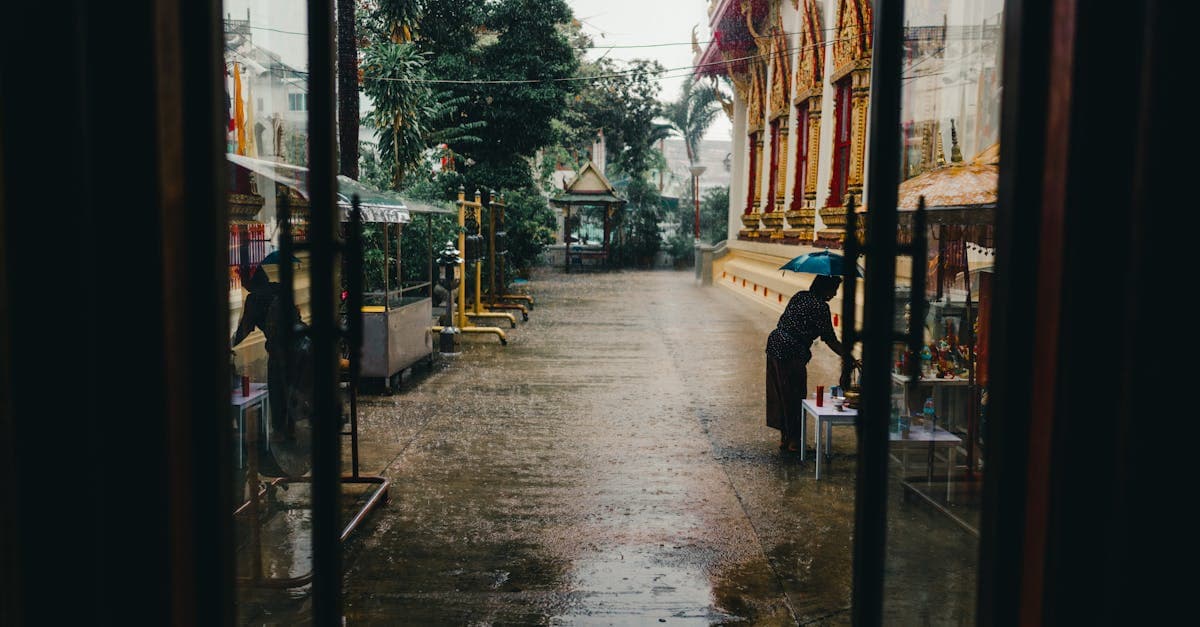 บุคคลถือร่มใต้สายฝน thailand rainy season ใกล้วัดกรุงเทพฯ ชีวิตประจำวันท่ามกลางฝนตก