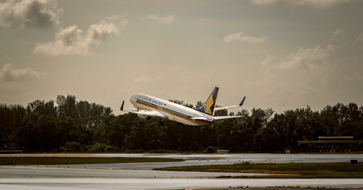 Commercial airplane taking off from Changi Airport, illustrating monthly price trends for cheap flights from Singapore.