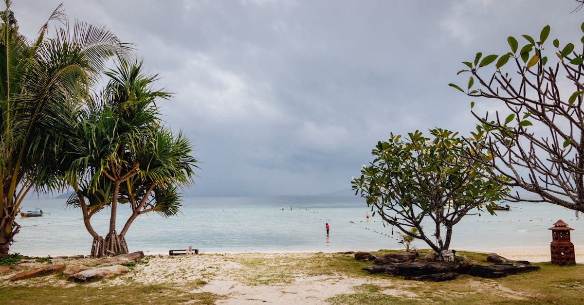 Rolig strand med tropiske træer og overskyet himmel i Ao Nang – typisk vejr i Thailand udenfor højsæson.
