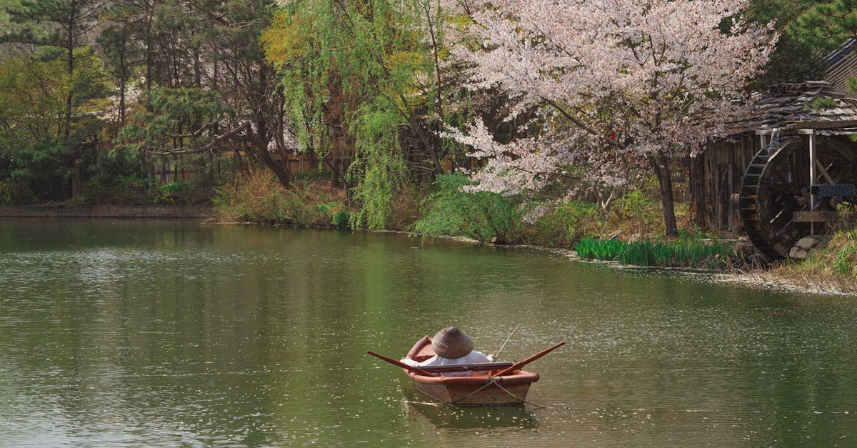 일본 날씨 봄 시즌 벚꽃으로 둘러싸인 호수에서 보트를 타는 평화로운 풍경